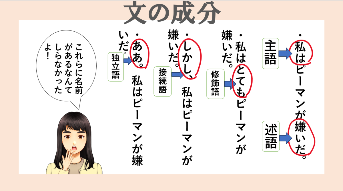 中1国語の自学ネタ 分の成分